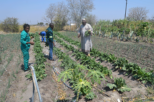 shalom vtc Nigerian couple ploughs ahead with vocational education