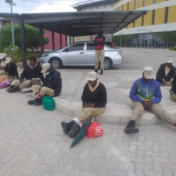 shilimela 2 Aaniilonga yaShilimela ya futwa konima yokathimbo okashona sho ya tula mo ekanka