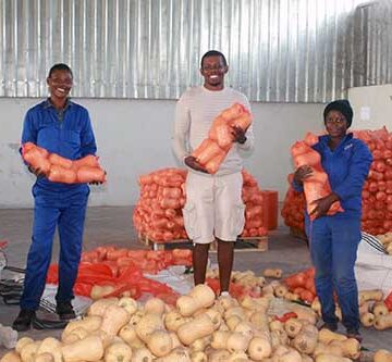 sikondo 3 Sikondo irrigation ploughs ahead