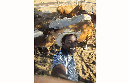 simataa simbra herd Simataa sets pace for agri innovation