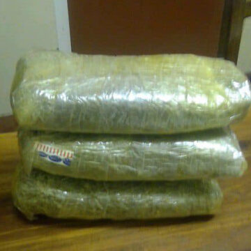 skunks 1 Yaali ya mangwa niingangamithi