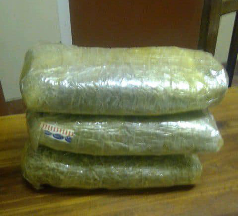 skunks 1 Yaali ya mangwa niingangamithi