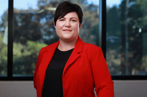 solar Opinion – Nedbank offers solar financing for homeowners