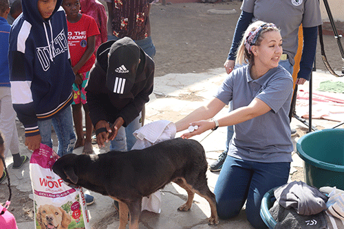 spca SPCA awaits much-needed land in Keetmanshoop