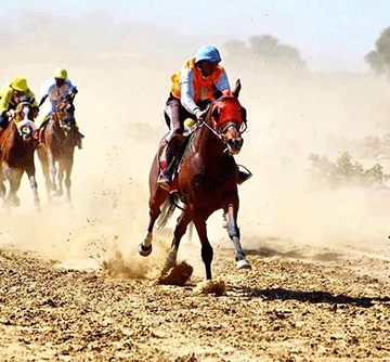 sponsorship Horse-racing clubs need sponsorship – De Waal