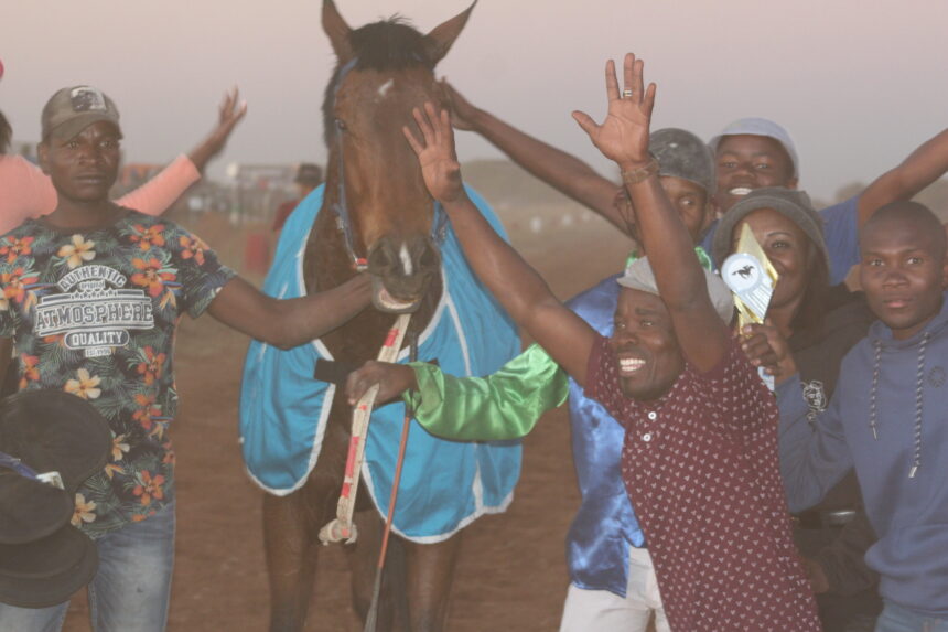 starlile jpg Starlile dominates MTC Winter Cup