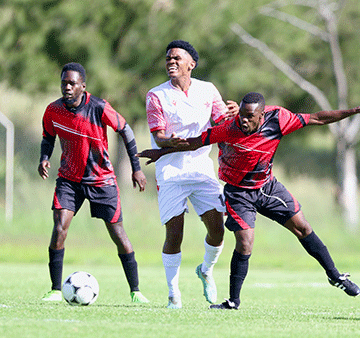 stars jpg 2 Isaacs decries lack of experienced, quality players…as Stars remain unstoppable