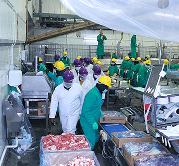 steytler 1 Steytler beefs up Meatco privatisation argument