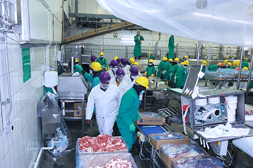 steytler 1 Steytler beefs up Meatco privatisation argument