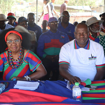 swapo 1 Stay in your lane – Shaningwa