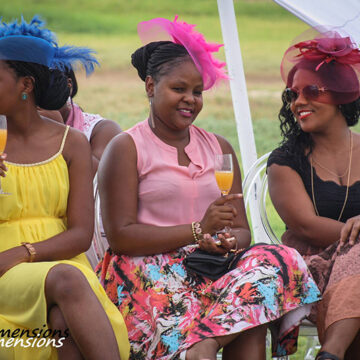 tea Te Divina, not your regular cup of tea