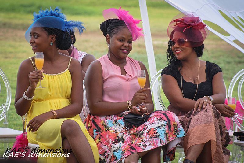 tea Namibia’s biggest tea party set for Saturday