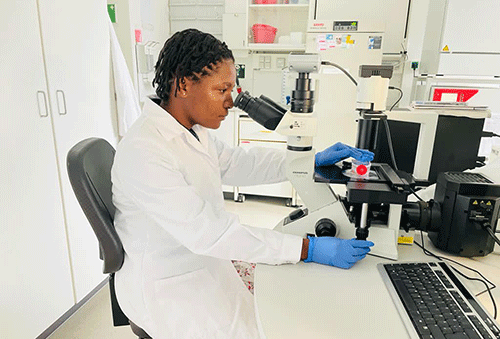 teopolina 2 Empower others and succeed