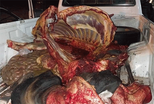 theft Four nabbed for stock theft