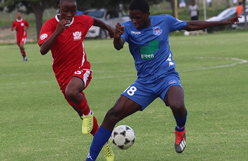 tigers jpg Tigers want to keep the momentum