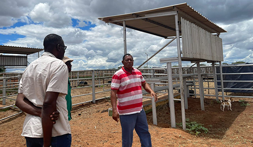 tjihero2 Tjihero wants more assistance for struggling farmers