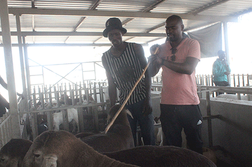 tjuu Farmers hail importance of Okakarara Trade Fair …top breeds on full display