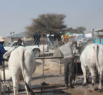 Turnout impresses at Okakarara fair