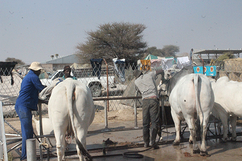 trade fair update Turnout impresses at Okakarara fair