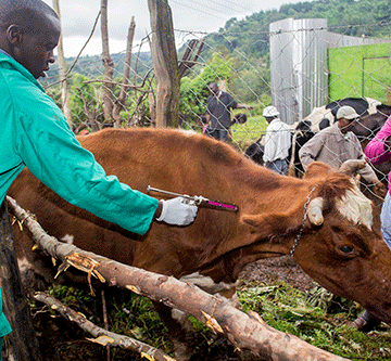 vaccine factory Namibia to establish vaccine factory