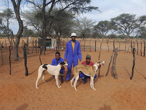 vazuu and family dog Greyhounds help farmer chase longstanding dream