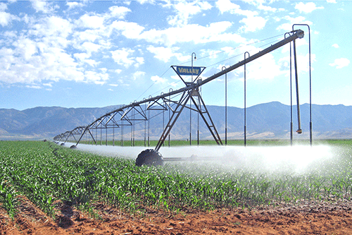 venaani irrigation Venaani: More investment in irrigation infrastructure needed