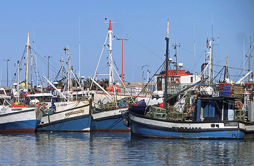 vessels Commission investigates fishing vessel owners