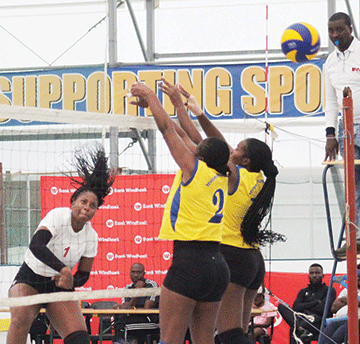 volleyball 1 Doc Tournament celebrates four decades