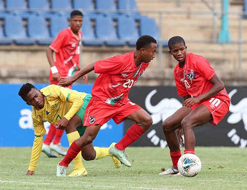 warriors jpg 1 We want to bow out with pride – Britz