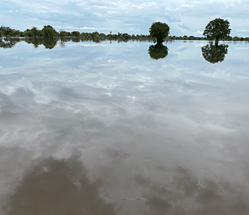 water rain 1 Efundja hits Omusati