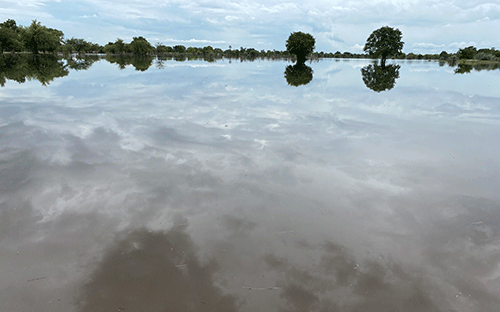 water rain 1 Efundja hits Omusati