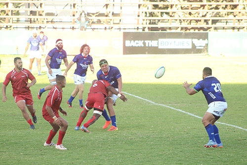 welwitschias jpg Coetzee: We are focused on getting the job done… Africa Cup quarterfinals today