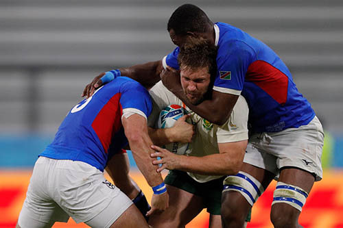 welwitschias jpg Rugby World Cup quandary for Coetzee …as Africa Cup battles loom