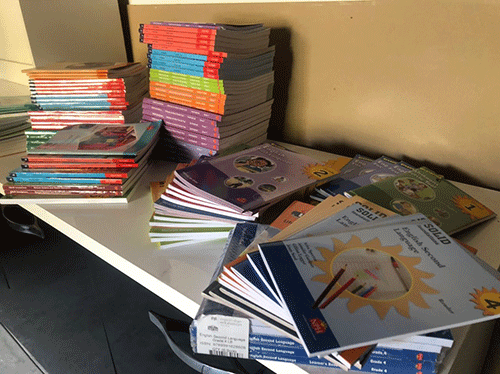 wild kids German Embassy supports Wild Kids Academy