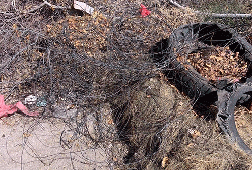 wires etosha Oondhalate otadhi kwata iiyamakuti mEtosha