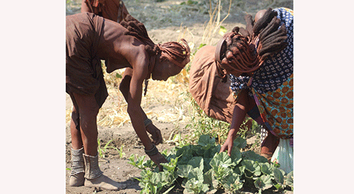 women Women farmers to set roadmap into agri-business