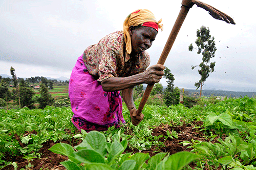 women summit Women & Agri Summit starts tomorrow…talks on gender disparity, financing