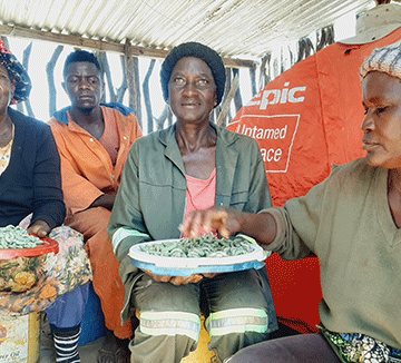 worm Worm harvesters revel in ‘joyful risk’