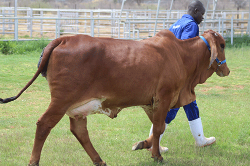 Agribank disburses loans worth N$173 million