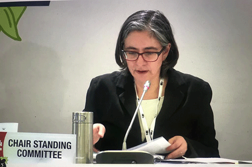 CITES in the firing line… UN agency accused of violating trade regulating rules