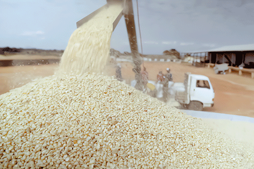 Insufficient rainfall leads to low crop production