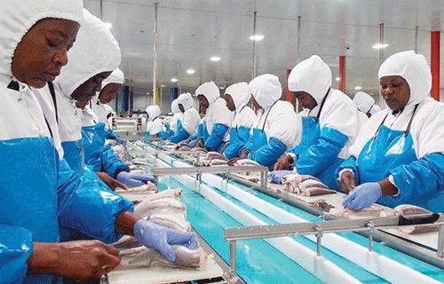 decent Namibia launches decent work in trade