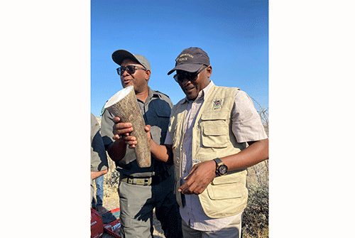 Dehorning costs ministry N$50 million