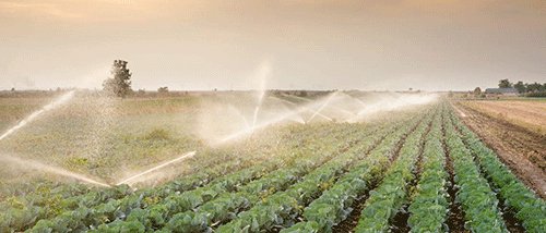 Eos Capital acquires stake in Cherry Irrigation