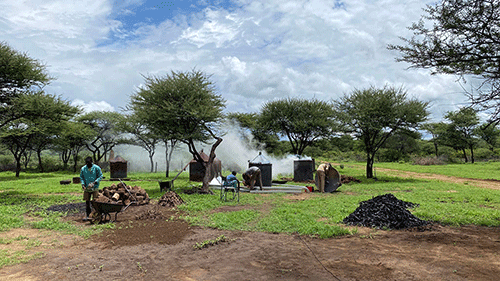 eu Namibian exports to EU up