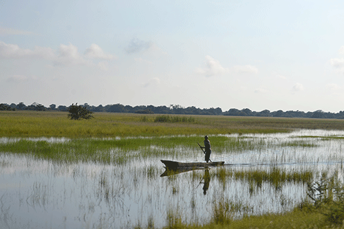 Illegal fishing draws minister’s ire