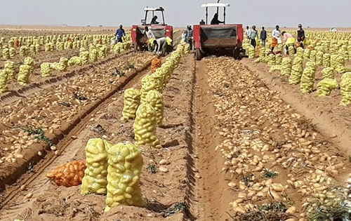 Schlettwein calls for food to remain affordable