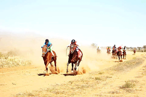 horse racing Summer Derby set for Okahandja this weekend