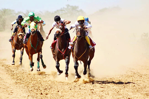 Opuwo to revive horse racing 
