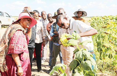 Kalimbeza Rice project  gets N$8m injection